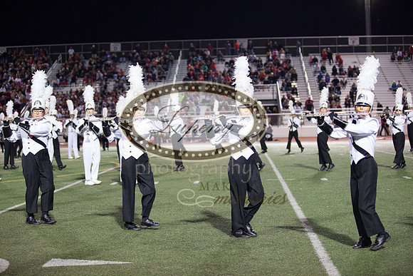Lupeny Photography   (158 of 264)