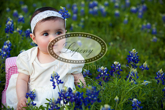 © Lupeny Photography-33