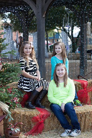 Lupeny Photography   (18 of 66)