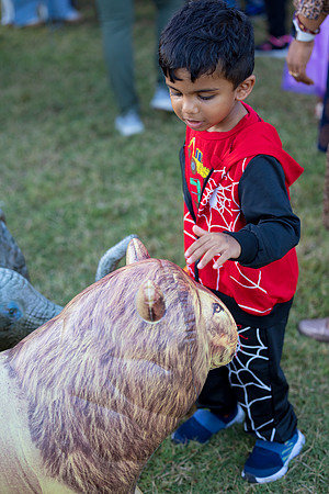 Lupeny Photography-6527