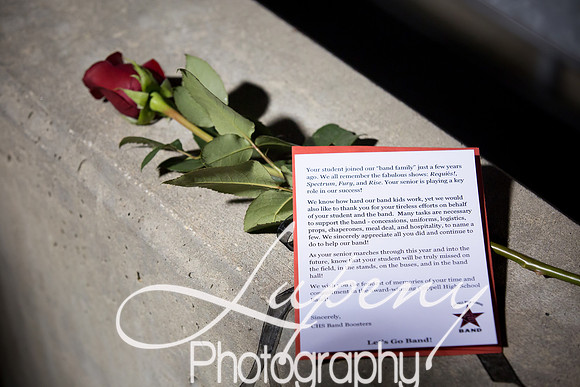 Lupeny Photography (59 of 419)