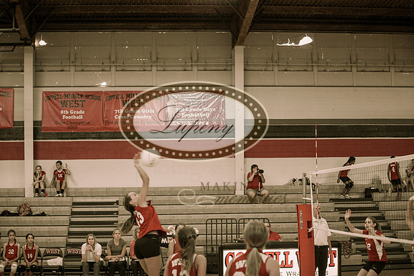 © Lupeny Photography-5