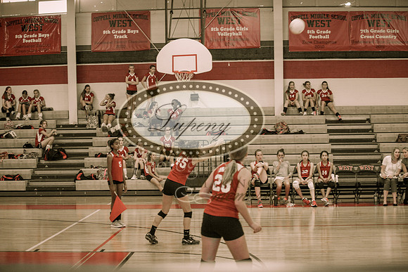 © Lupeny Photography-12
