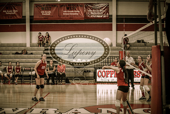 © Lupeny Photography-25