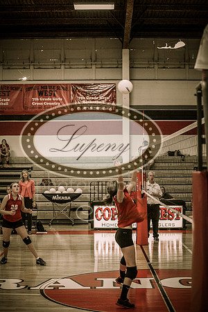 © Lupeny Photography-37