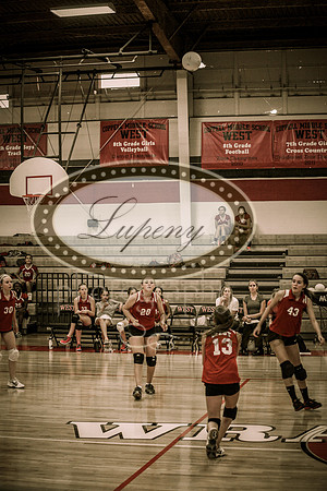 © Lupeny Photography-39