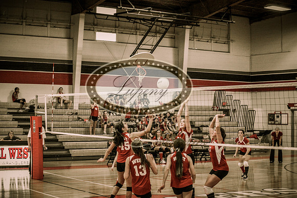 © Lupeny Photography-43