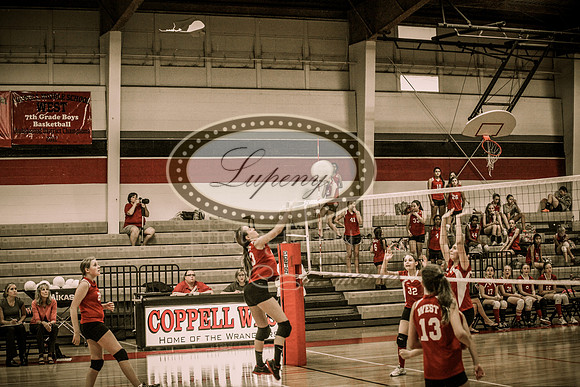 © Lupeny Photography-44