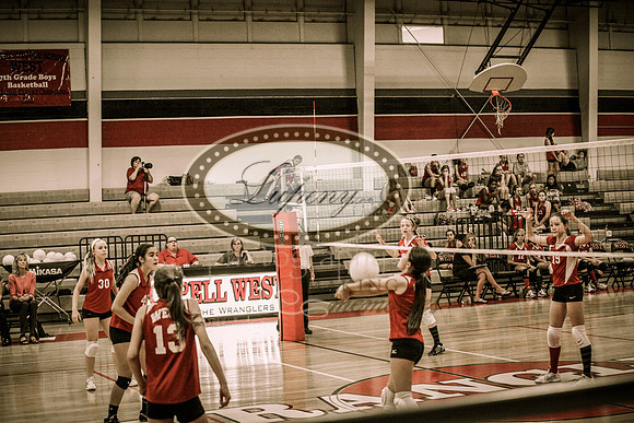 © Lupeny Photography-51