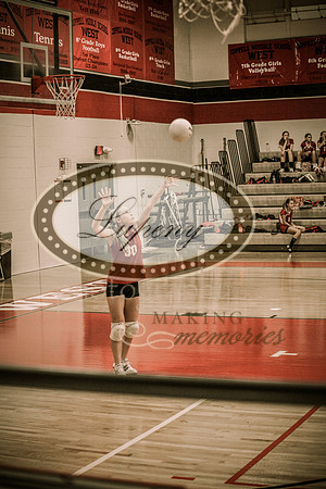 © Lupeny Photography-54