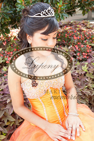 Lupeny Photography   (46 of 61)