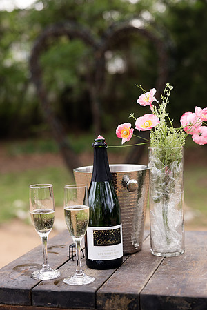 Lupeny Photography-0132