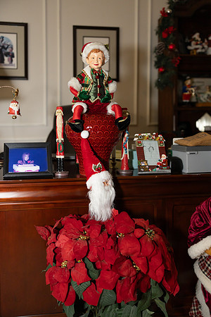 Lupeny photopgraphy-9437