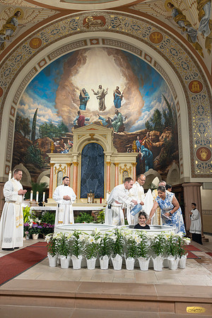 Lupeny photopgraphy-0205