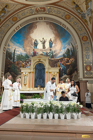Lupeny photopgraphy-0376