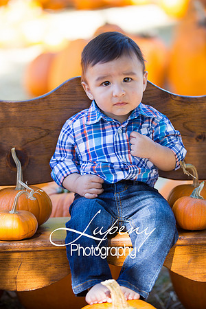 LupenyPhotography -0096