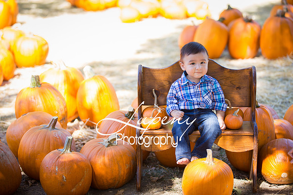 LupenyPhotography -0110