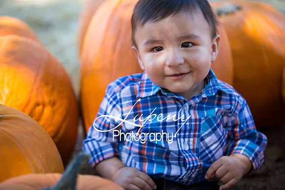 LupenyPhotography -0120
