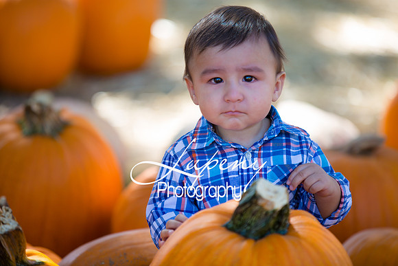 LupenyPhotography -0180