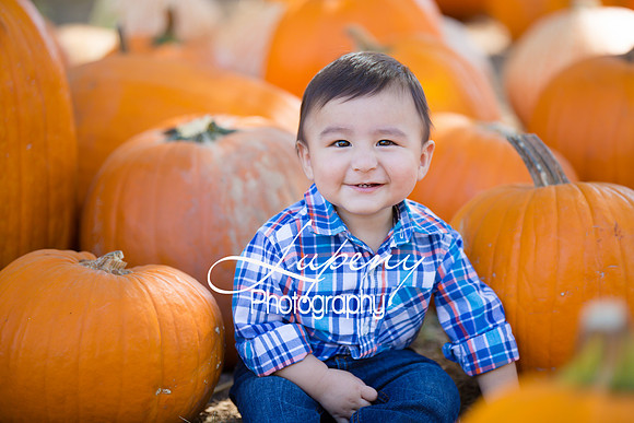 LupenyPhotography -0205