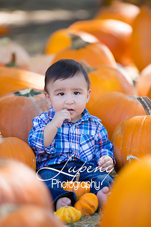 LupenyPhotography -0259