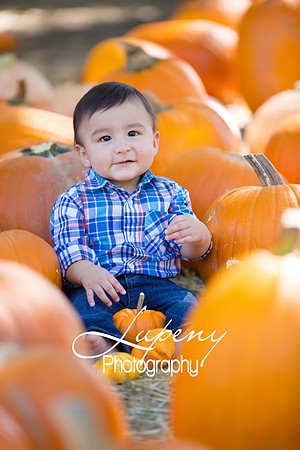 LupenyPhotography -0276