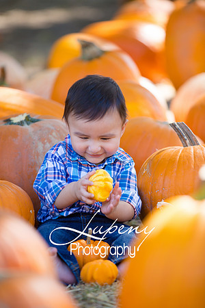 LupenyPhotography -0303