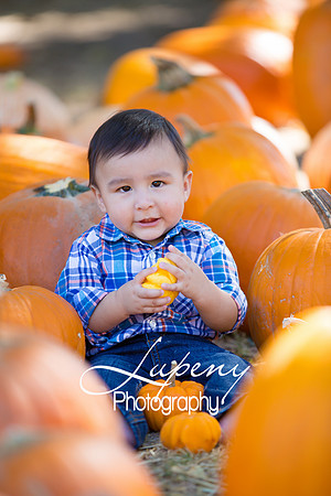 LupenyPhotography -0305