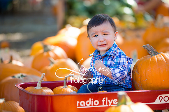 LupenyPhotography -0349