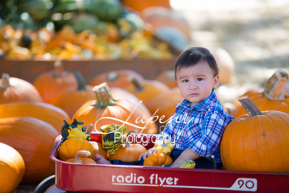 LupenyPhotography -0384