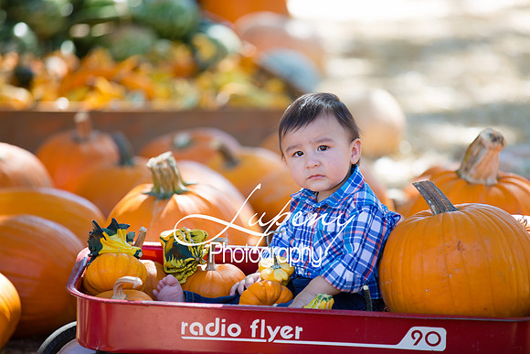 LupenyPhotography -0385