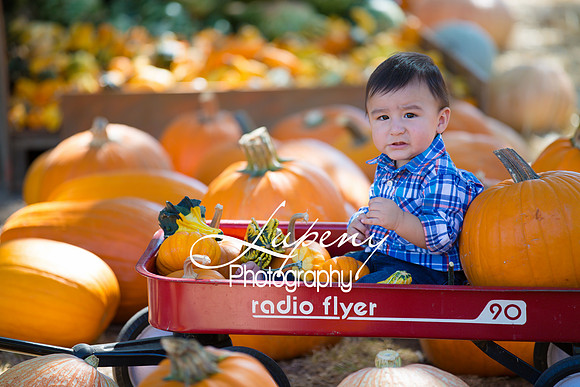 LupenyPhotography -0393