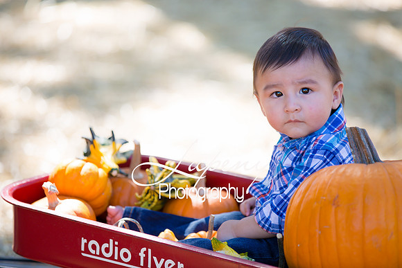 LupenyPhotography -0401