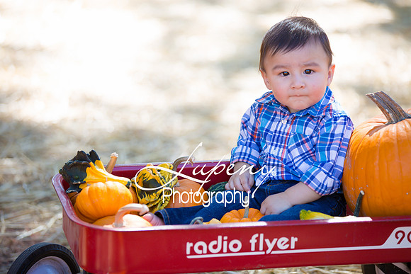 LupenyPhotography -0405