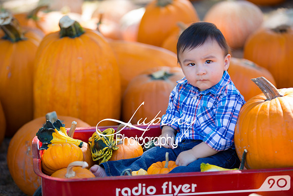 LupenyPhotography -0409