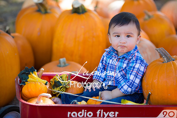 LupenyPhotography -0416
