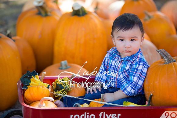 LupenyPhotography -0420