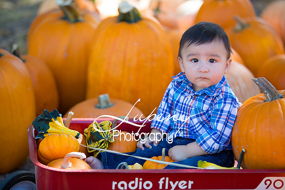 LupenyPhotography -0422