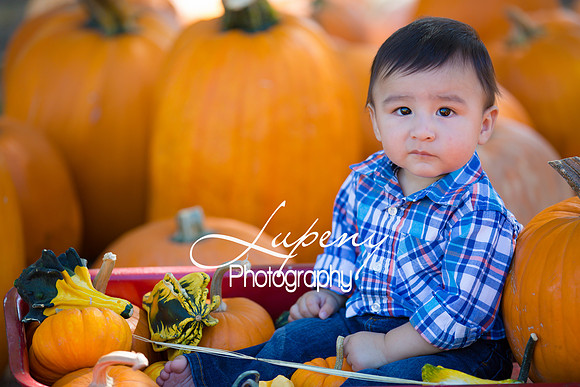 LupenyPhotography -0425