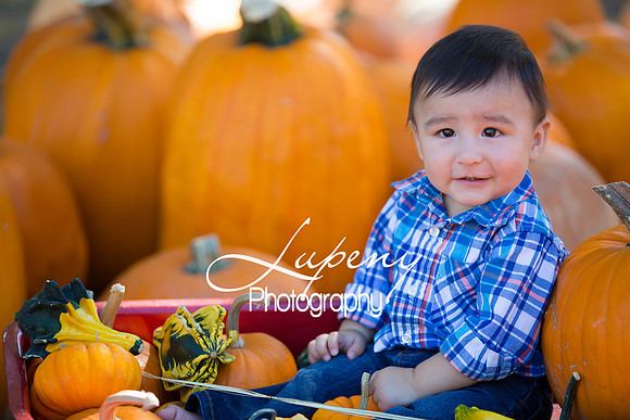 LupenyPhotography -0426
