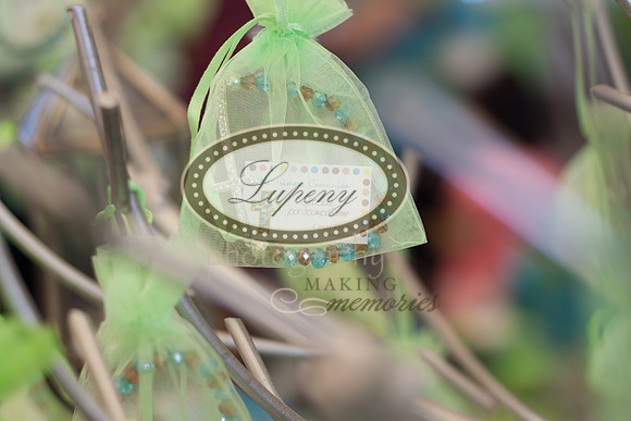 lupeny Photography (176 of 271)