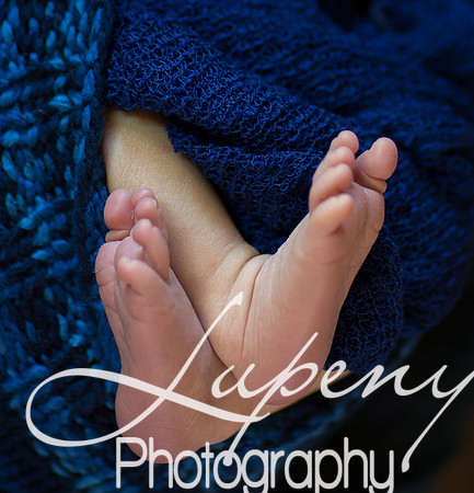 LupenyPhotography  (4 of 16)