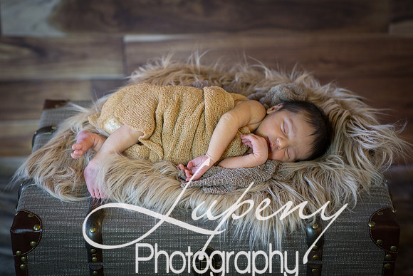 LupenyPhotography  (48 of 97)