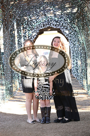 Lupeny Photography   (40 of 68)