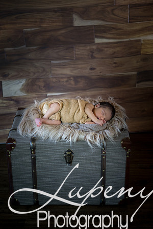 LupenyPhotography  (34 of 97)