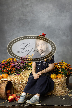 LP-7453