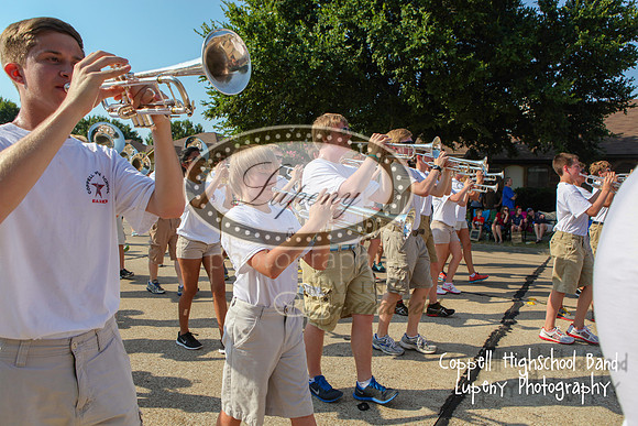 Lupeny Photography   (97 of 125)