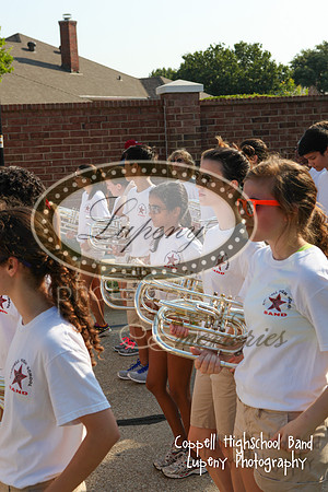 Lupeny Photography   (2 of 8)