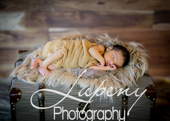 LupenyPhotography  (39 of 97)