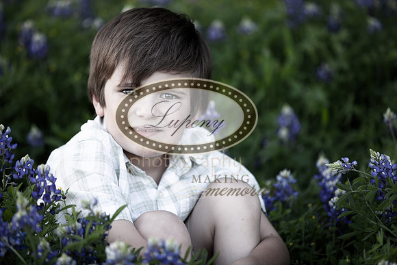 © Lupeny Photography-40
